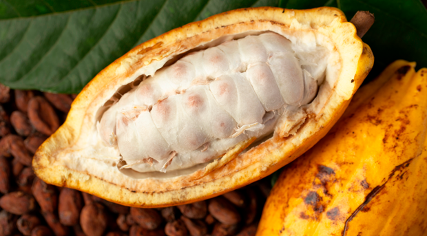 CACAU